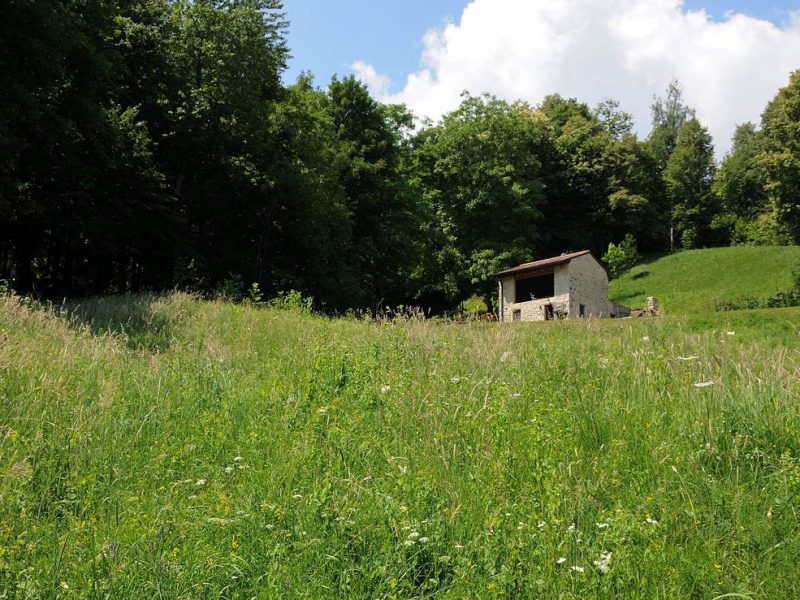 La casa nel Bosco: la riqualificazione di un ex deposito attrezzi